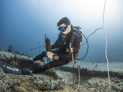 Ocean-Wildlife-Project-Meeresschutz-Ozeanschutz-Haischutz-Meer-Ozean-Wildtiere-Naturschutz-Spenden-schützen-forschen-Haiforschung.jpg1 copy